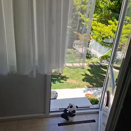 Hotel Antonio