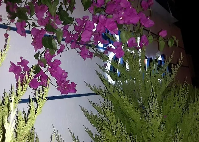 Szálloda Antonio 2*